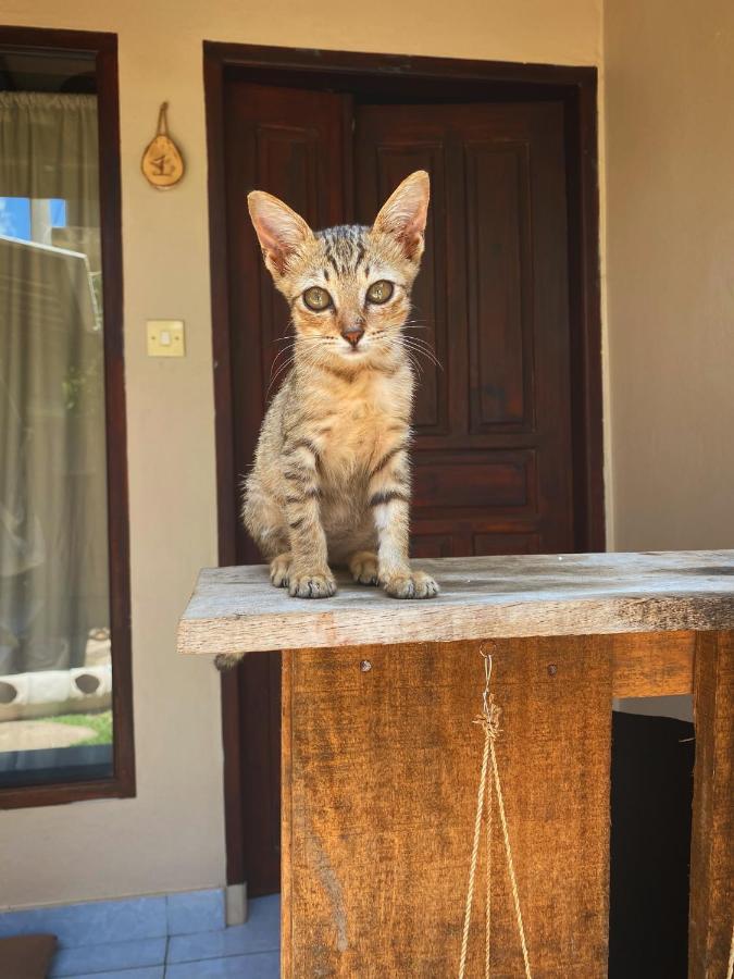 Jimador'S Homestay กีลีตราวางัน ภายนอก รูปภาพ